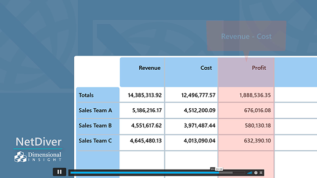 What is NetDiver?